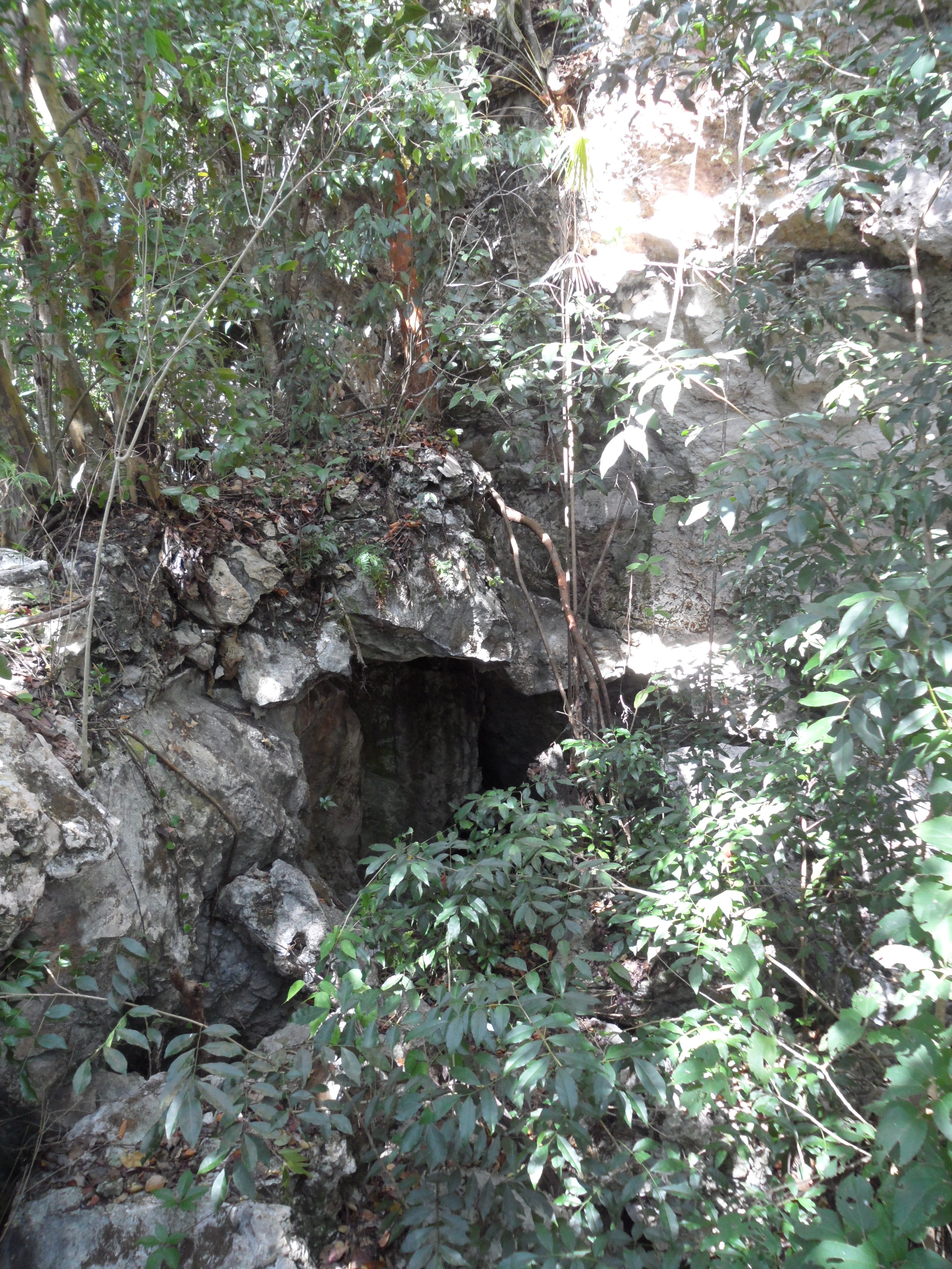 Underground limestone cave formation at Lucayan National Park Grand Bahama on a guided shore excursion for cruise passengers from Freeport port