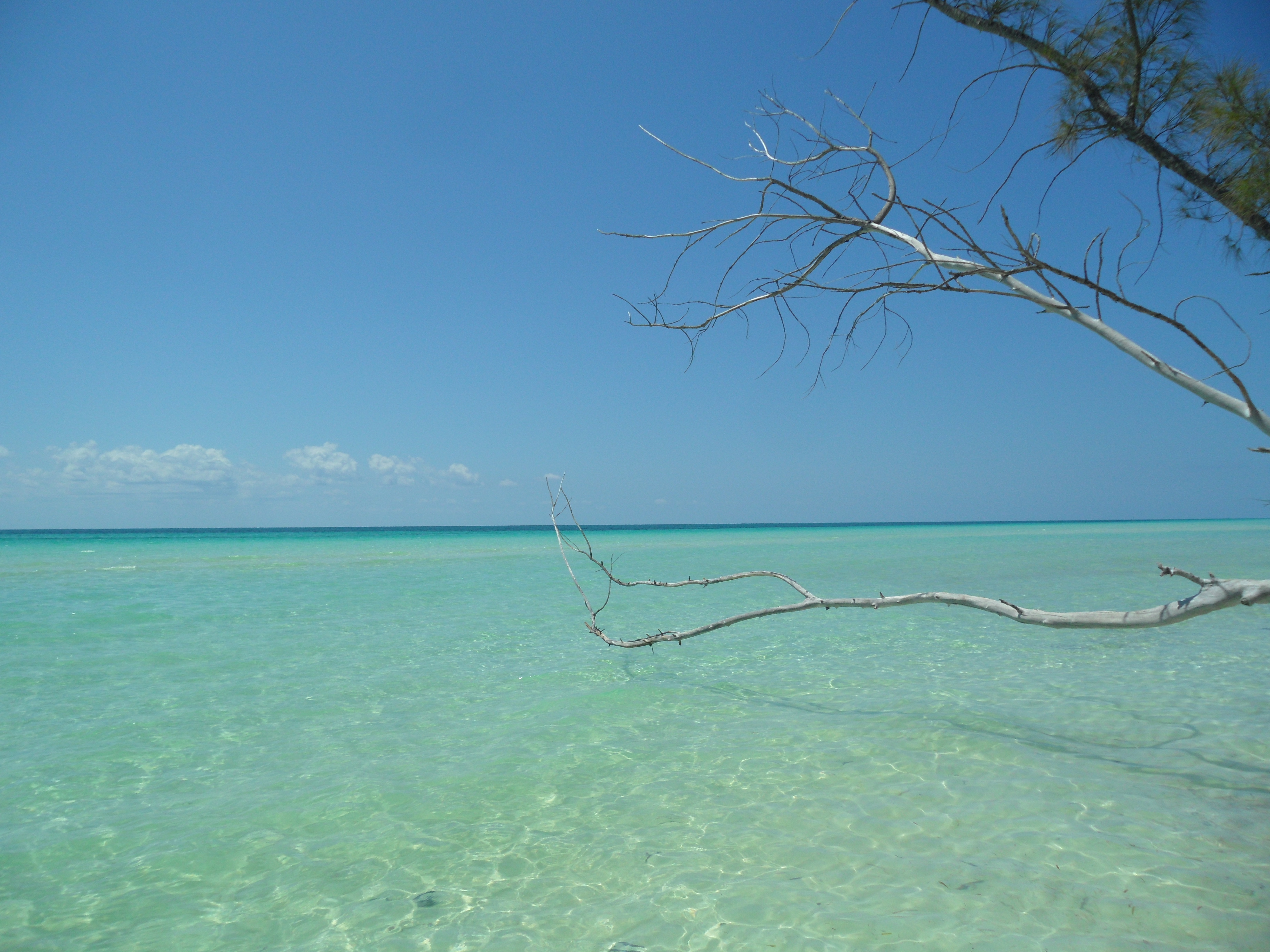 Aerial view of Grand Bahama Island coastline with turquoise reef water and white sand beaches near Freeport cruise port for shore excursions