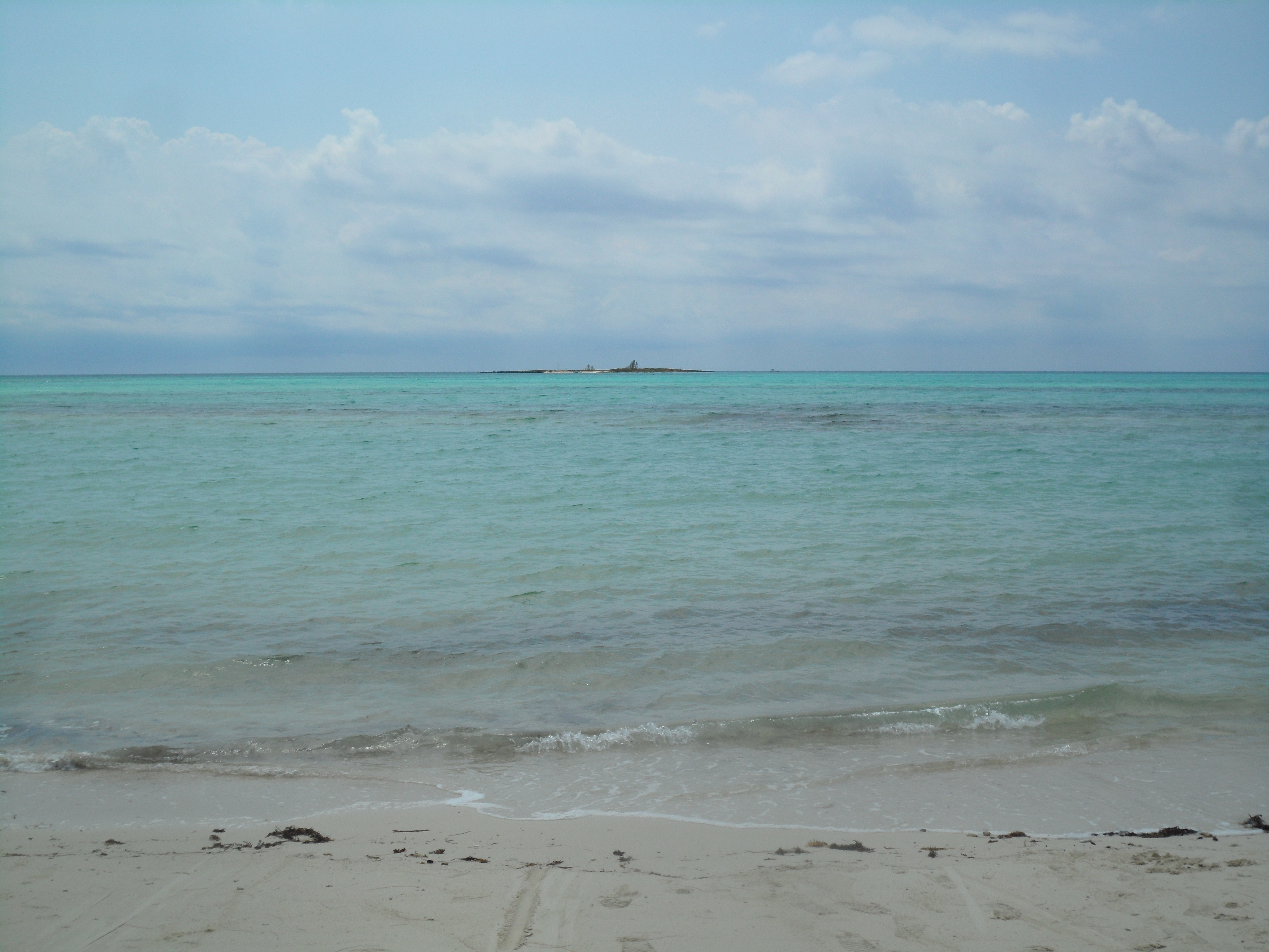 Snorkeller in clear turquoise Caribbean water over visible reef on a Freeport Bahamas snorkelling shore excursion for cruise passengers